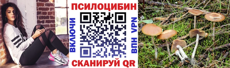 Купить закладки  Дюртюли  Псилоцибиновые грибы Cubensis 
